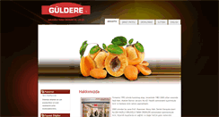 Desktop Screenshot of guldereincir.com