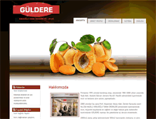 Tablet Screenshot of guldereincir.com